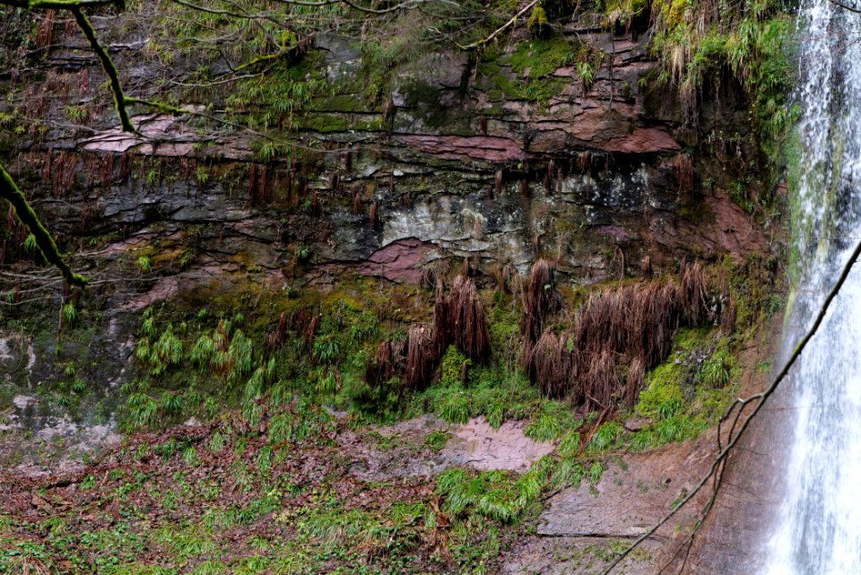 Sankenbach Waterfalls 2020-03-12 54