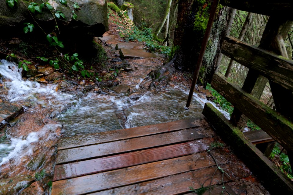Sankenbach Waterfalls 2020-03-12 94