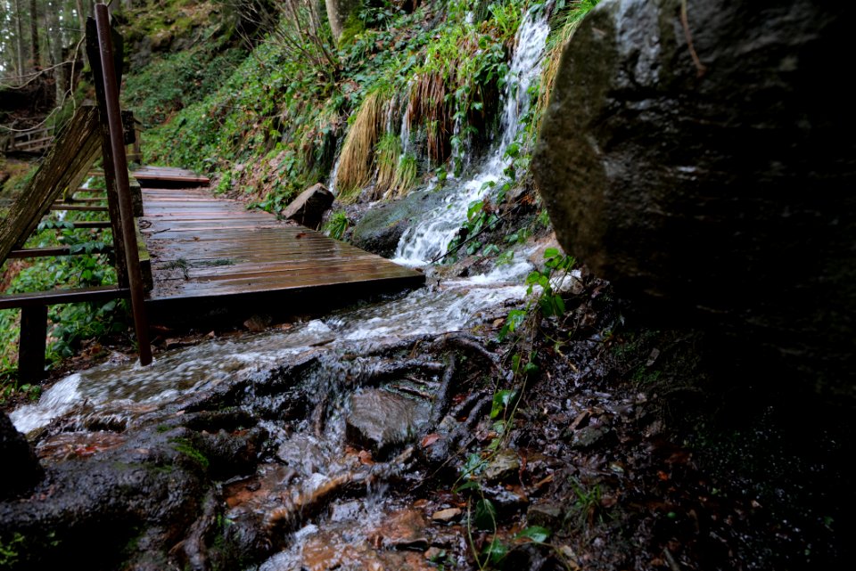Sankenbach Waterfalls 2020-03-12 92