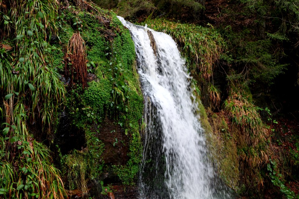 Sankenbach Waterfalls 2020-03-12 86