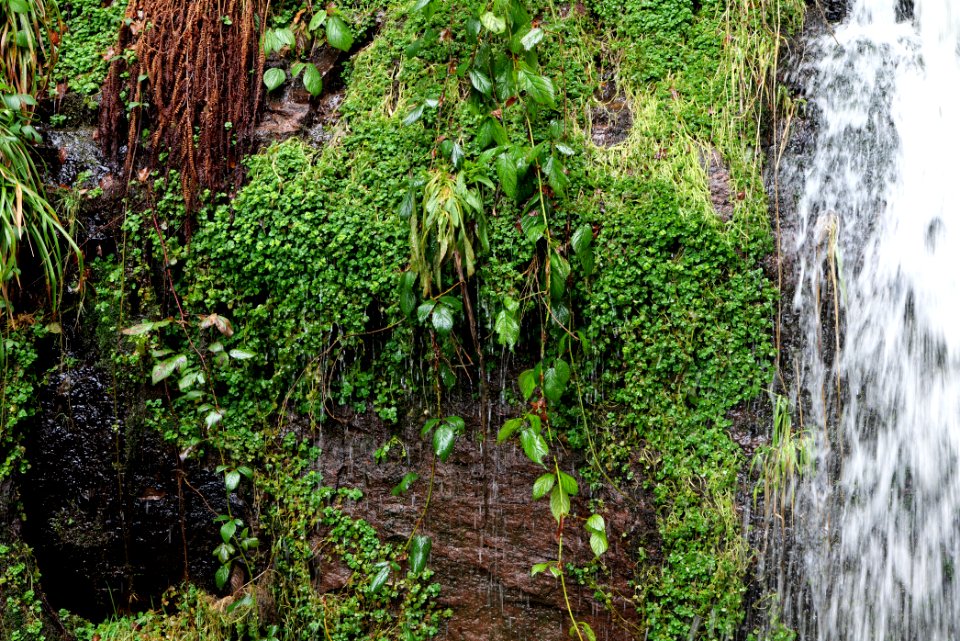 Sankenbach Waterfalls 2020-03-12 82