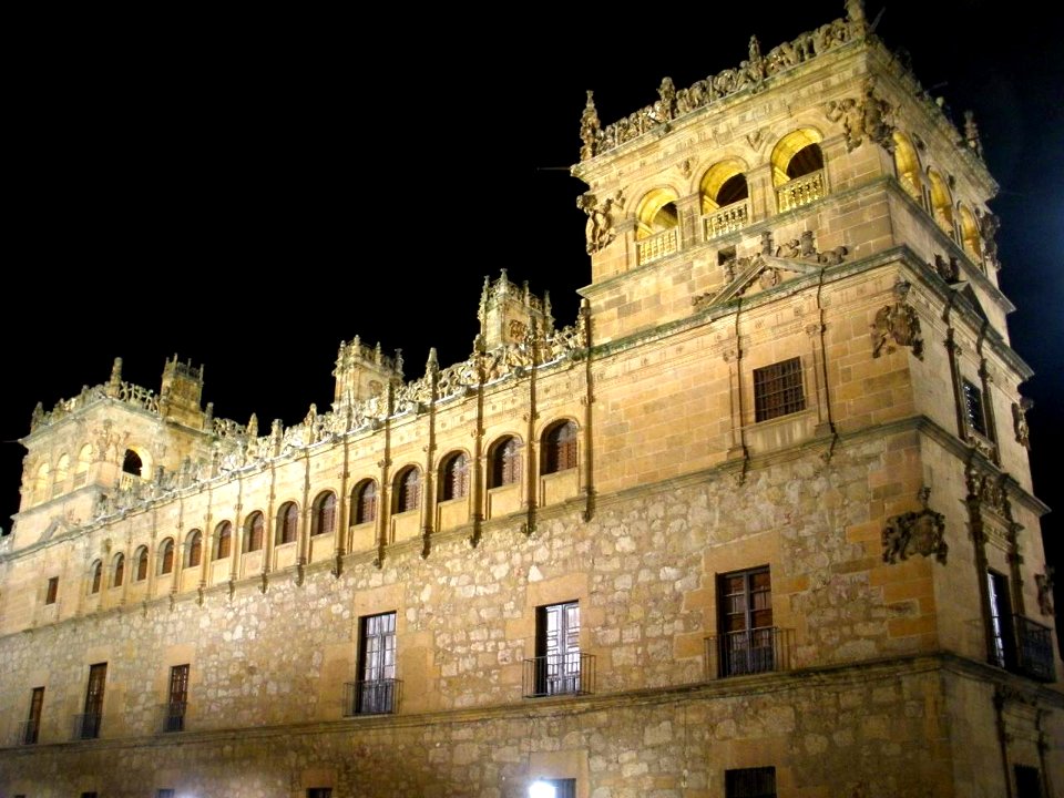 Salamanca - Palacio de Monterrey 1