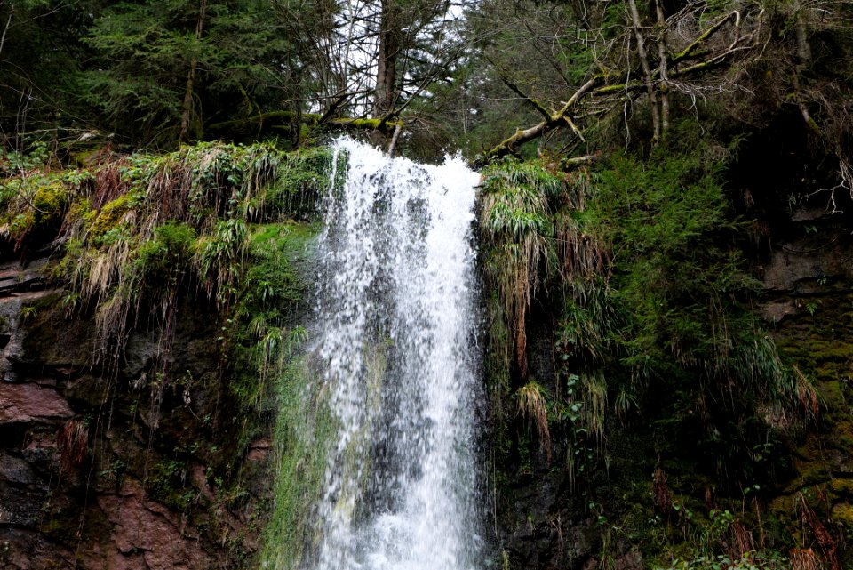 Sankenbach Waterfalls 2020-03-12 38
