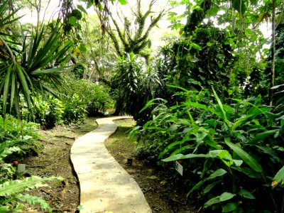 Sankyo Garden - DSC01271