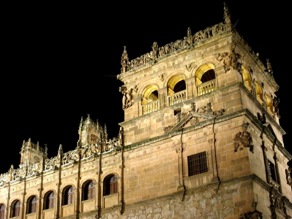 Salamanca - Palacio de Monterrey 5