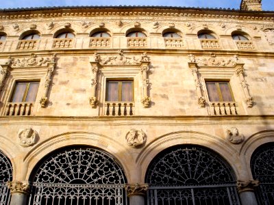 Salamanca - Palacio de la Salina 3