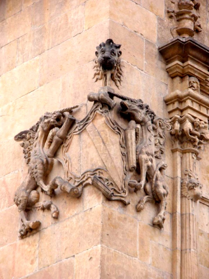 Salamanca - Palacio de Monterrey 6