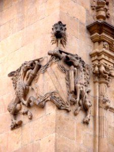 Salamanca - Palacio de Monterrey 6