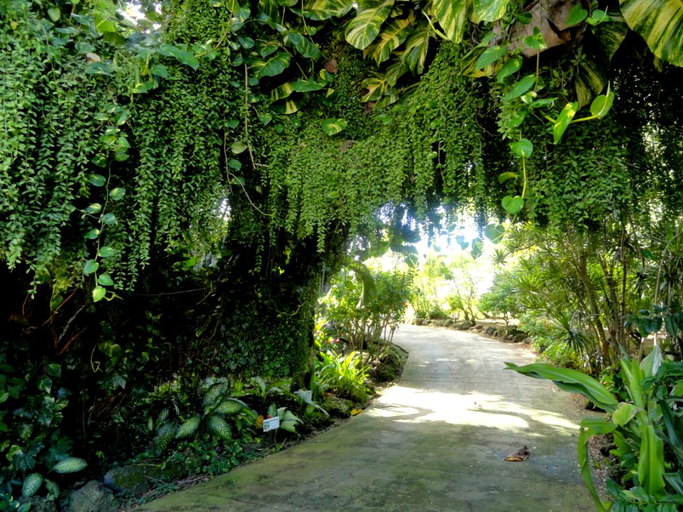 Sankyo Garden - DSC01019