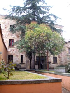 Salamanca - Museo de Salamanca 06