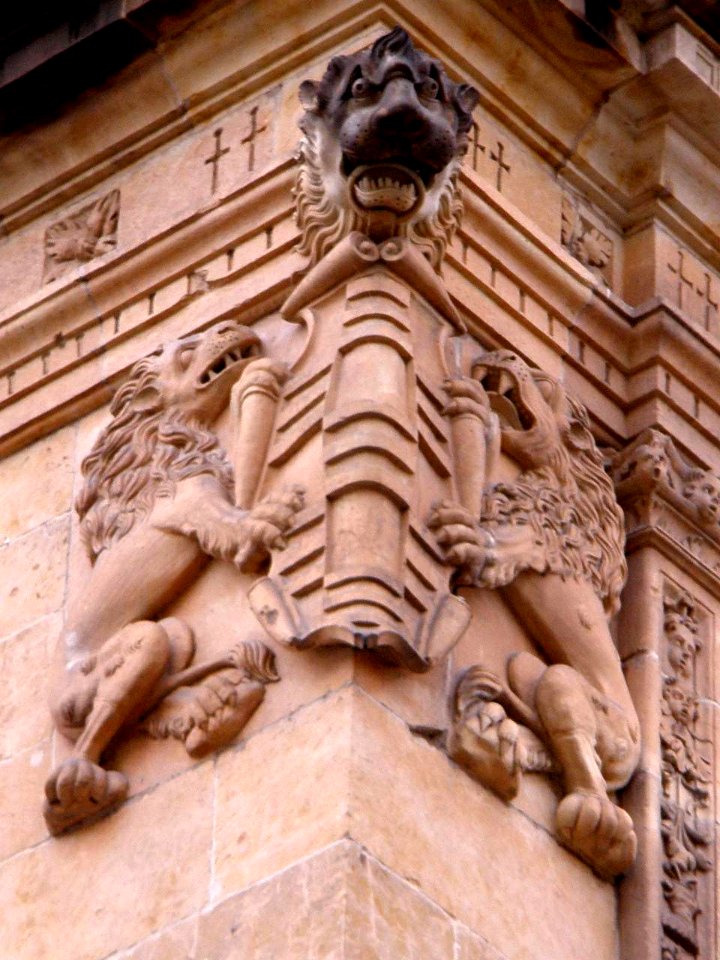 Salamanca - Palacio de Monterrey 7