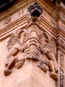 Salamanca - Palacio de Monterrey 7