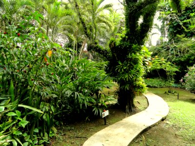 Sankyo Garden - DSC01277