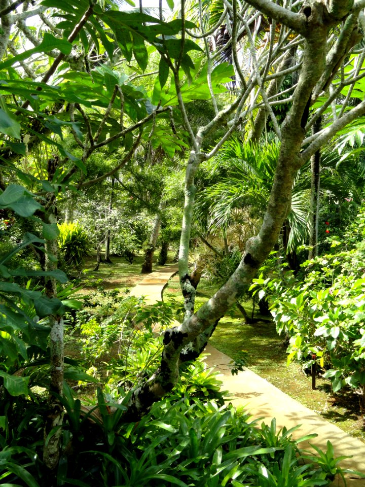 Sankyo Garden - DSC01204