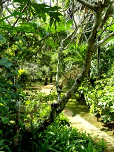 Sankyo Garden - DSC01204