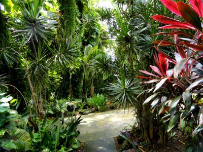 Sankyo Garden - DSC01178