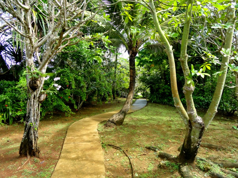 Sankyo Garden - DSC01169