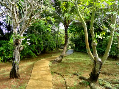 Sankyo Garden - DSC01169
