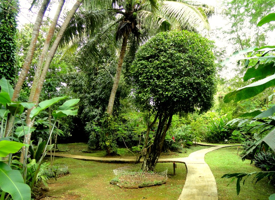 Sankyo Garden - DSC01286