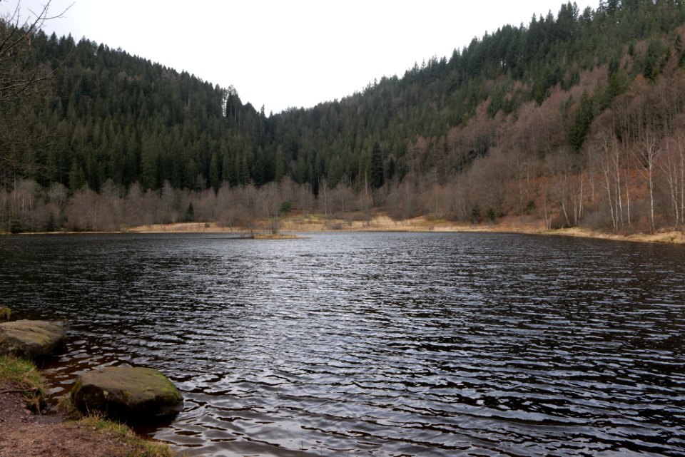 Sankenbachsee 2020-03-12 13
