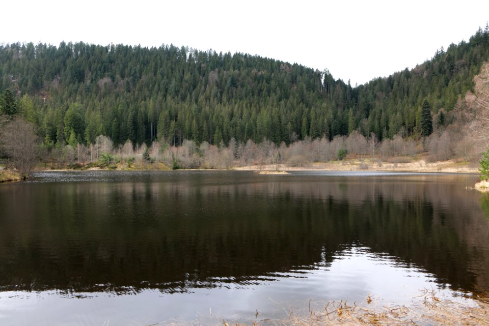 Sankenbachsee 2020-03-12 08