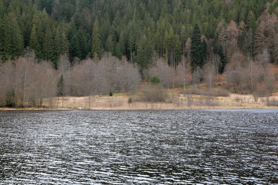 Sankenbachsee 2020-03-12 18