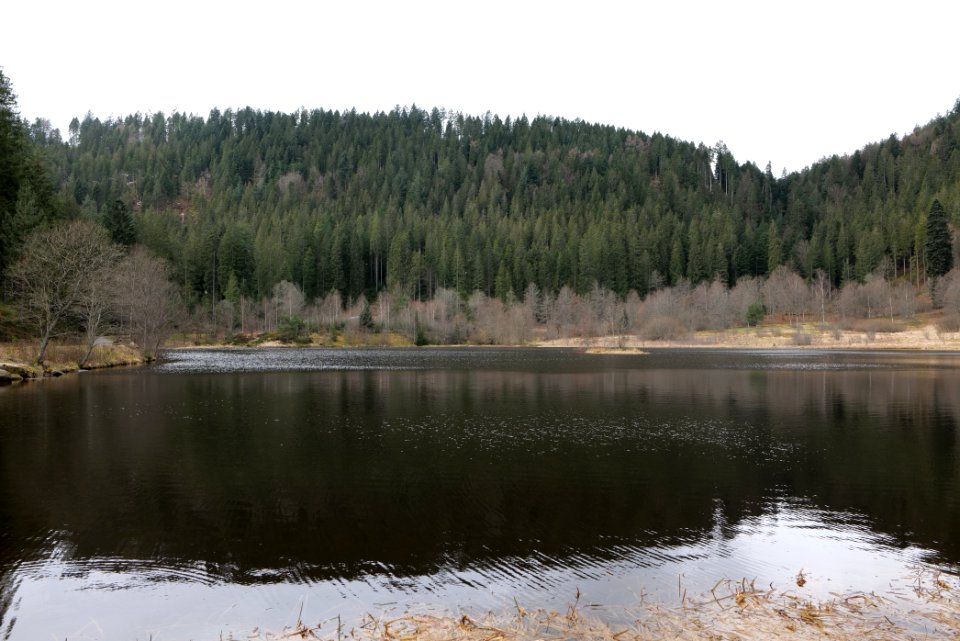 Sankenbachsee 2020-03-12 06