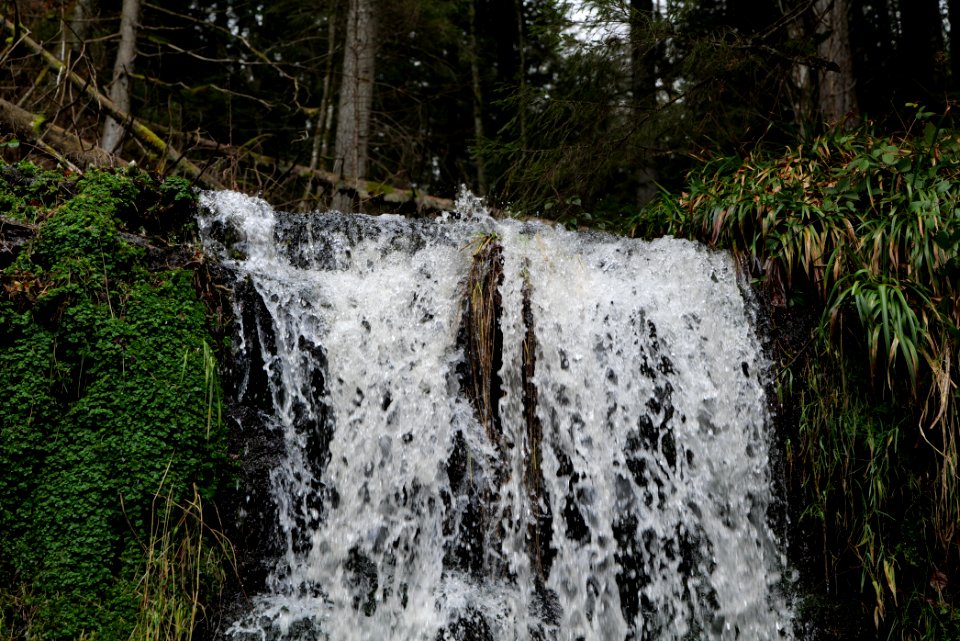 Sankenbach Waterfalls 2020-03-12 74