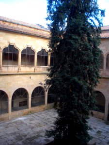 Salamanca - Universidad, Patio de las Escuelas Mayores 07