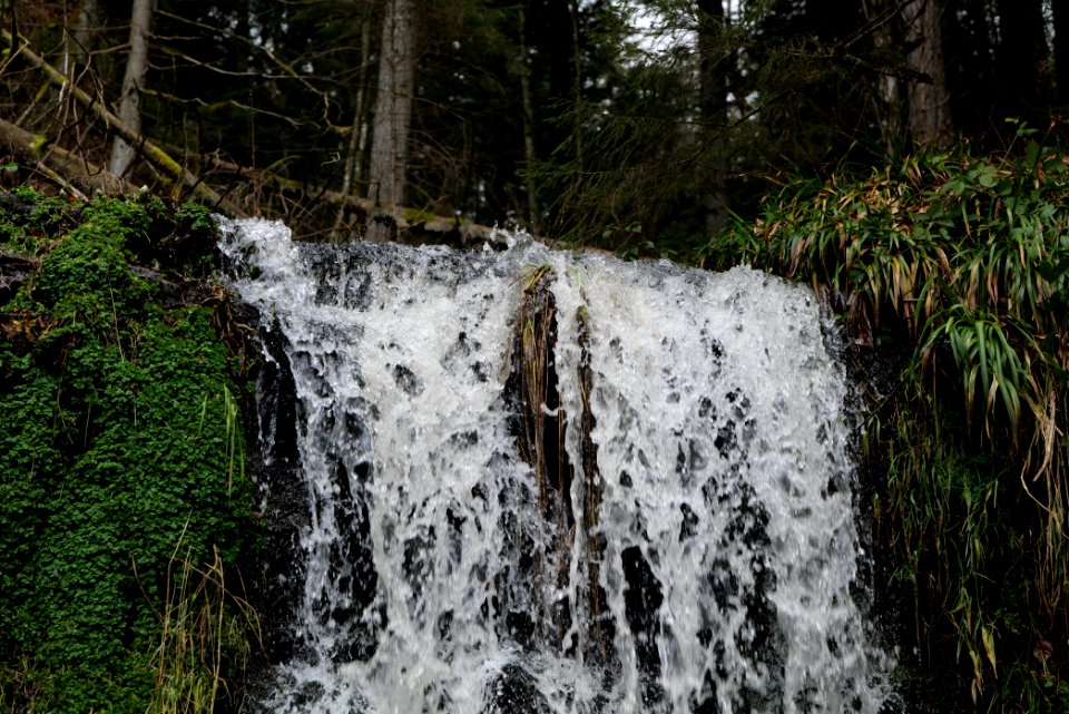 Sankenbach Waterfalls 2020-03-12 75