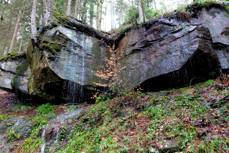 Sankenbach Waterfalls 2020-03-12 63