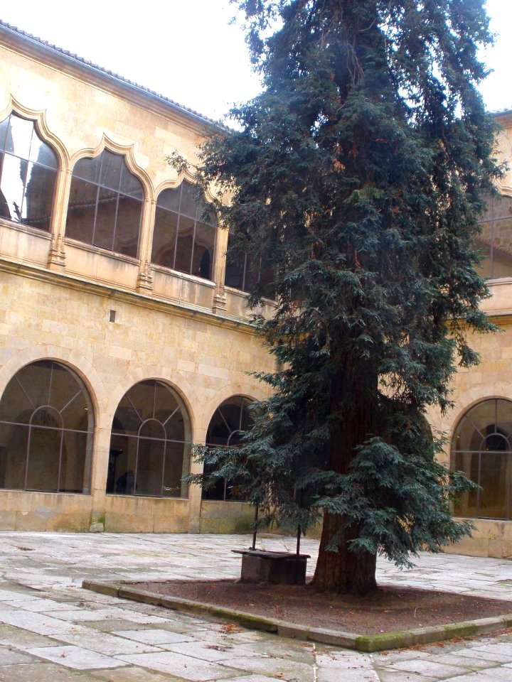 Salamanca - Universidad, Patio de las Escuelas Mayores 02