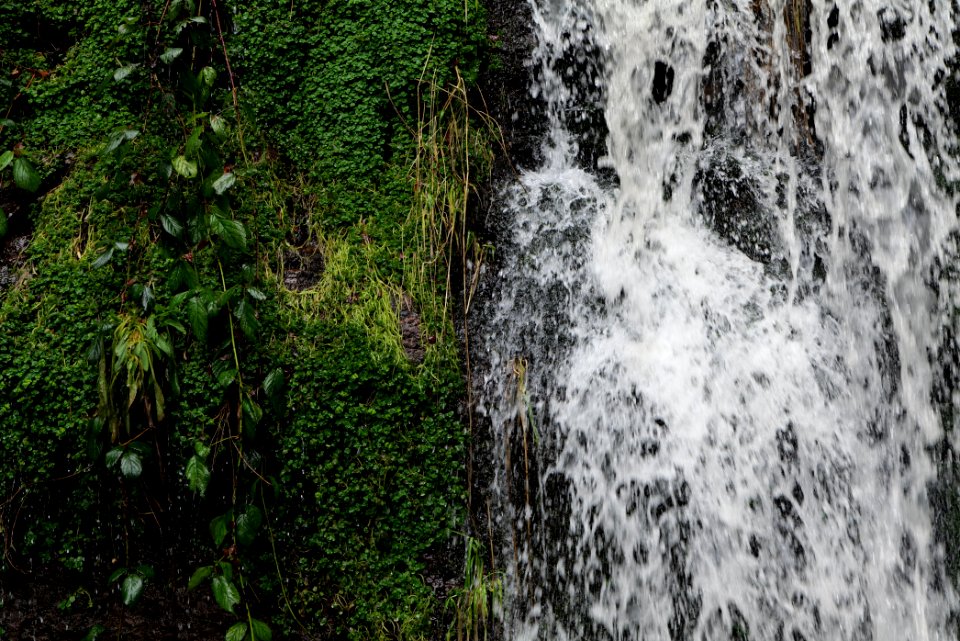 Sankenbach Waterfalls 2020-03-12 78