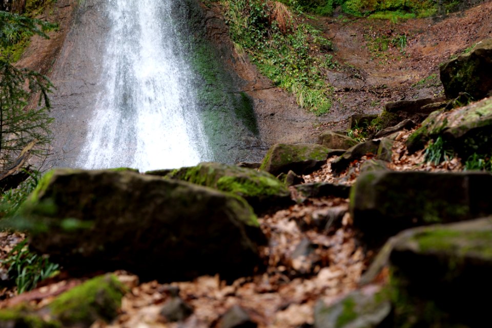 Sankenbach Waterfalls 2020-03-12 28