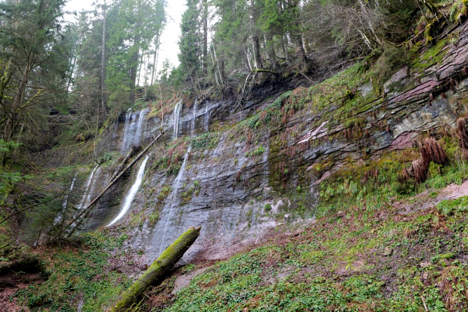 Sankenbach Waterfalls 2020-03-12 32