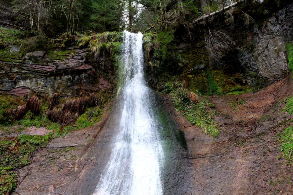 Sankenbach Waterfalls 2020-03-12 35