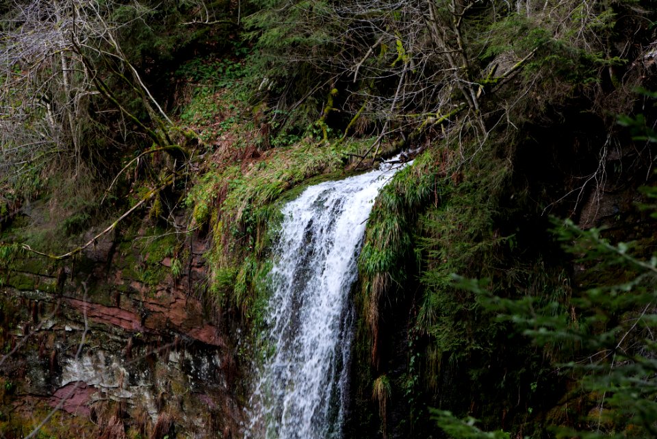 Sankenbach Waterfalls 2020-03-12 56