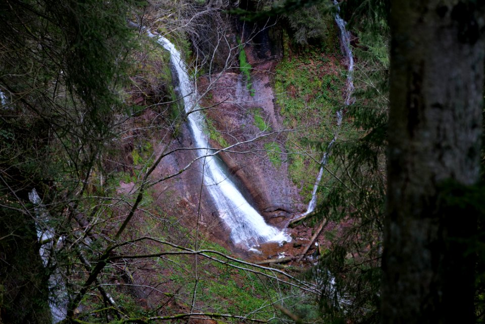 Sankenbach Waterfalls 2020-03-12 99