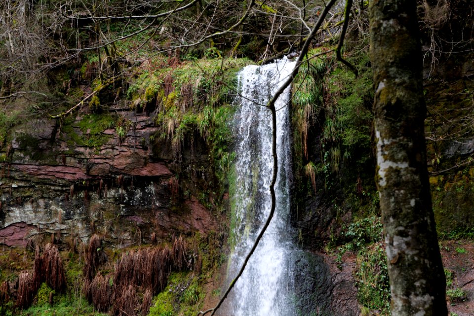 Sankenbach Waterfalls 2020-03-12 53