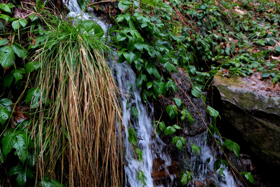 Sankenbach Waterfalls 2020-03-12 96