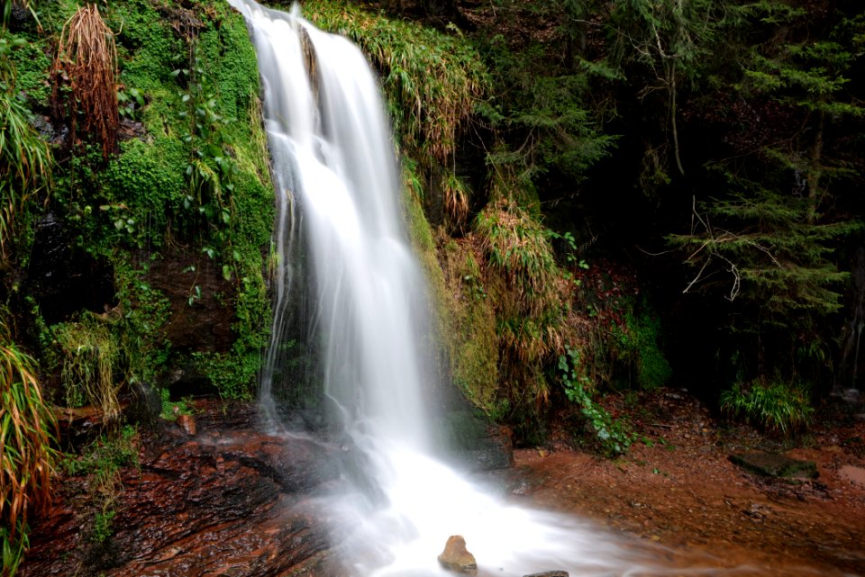 Sankenbach Waterfalls 2020-03-12 90