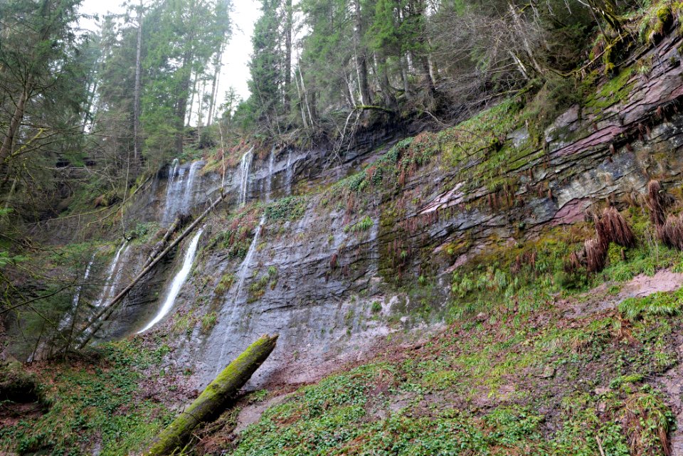 Sankenbach Waterfalls 2020-03-12 31