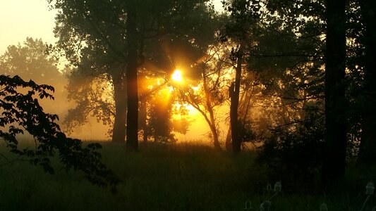 Nature sun landscape