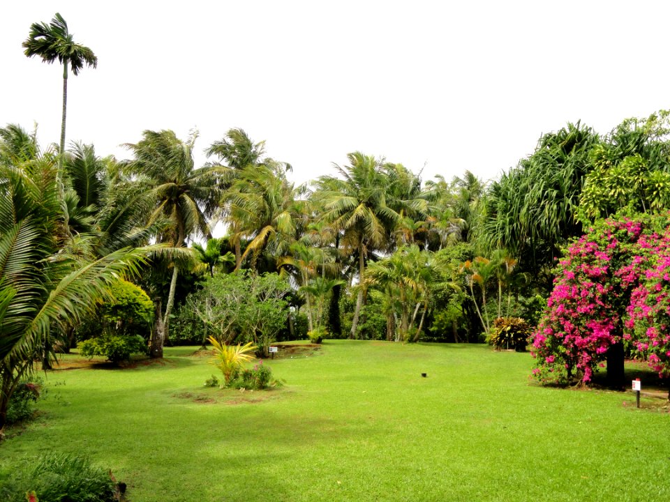 Sankyo Garden - DSC01315