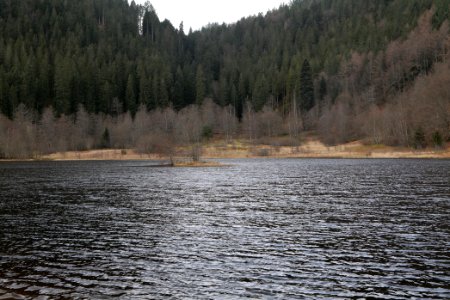 Sankenbachsee 2020-03-12 14