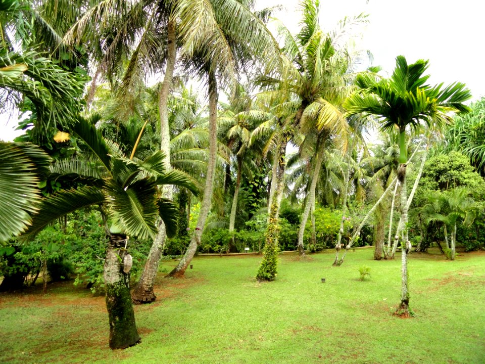 Sankyo Garden - DSC01257