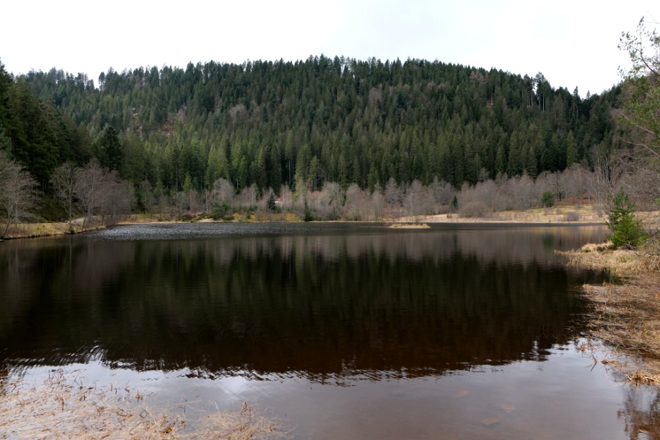 Sankenbachsee 2020-03-12 01