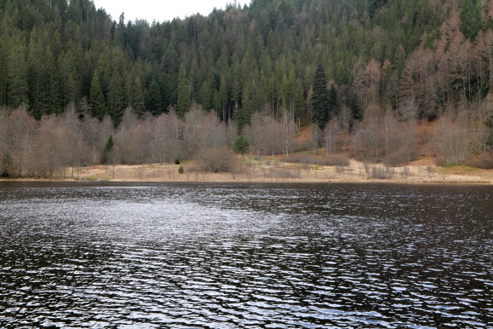 Sankenbachsee 2020-03-12 17