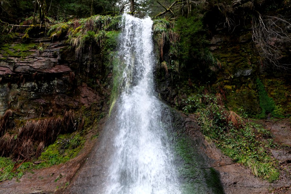 Sankenbach Waterfalls 2020-03-12 51