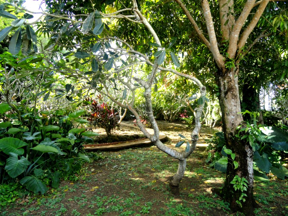 Sankyo Garden - DSC01023
